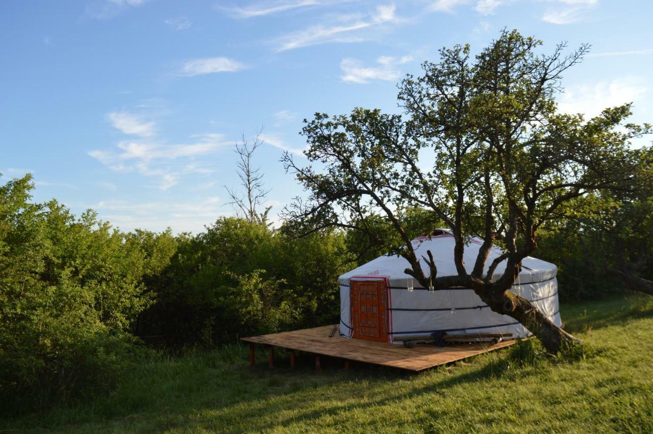 Camping V Raji - Palda Rovensko pod Troskami Exterior foto